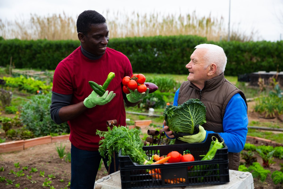 5 Dental Health Tips for Summer 5 Dental Health Tips for Summer